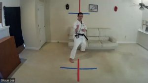 Tekki Shodan Kosa Dachi