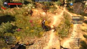 Gameplay The Witcher 3 Wild Hunt on 35 fps.