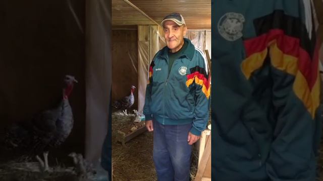 Помощь маленькой Богадельне