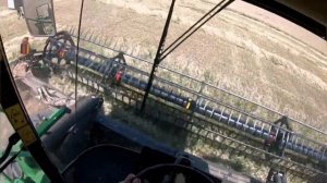 Продолжение свала пшеницы