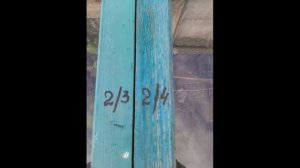 два способа выращивания винограда на Урале