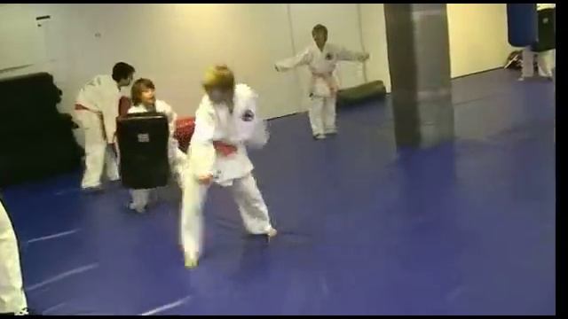 HMAC - Hapkido Hawks смотреть онлайн