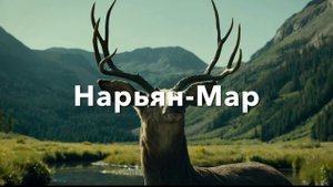 Нарьян-Мар
