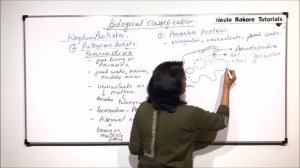 Biological Classification | NEET | Protista - Sarcodina - Amoeba Proteus, Aulocantha | Dr. Bakore