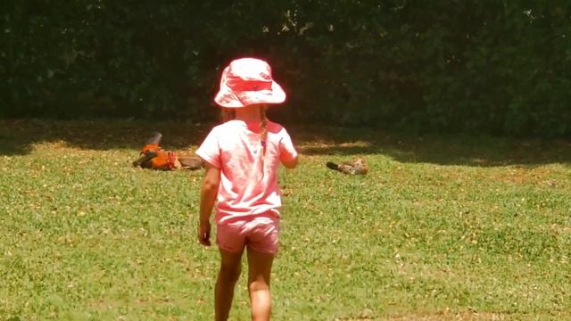 Русские дикари на отдыхе/ Такого вы не видели /Гавайские острова / тропический сад смотреть онлайн