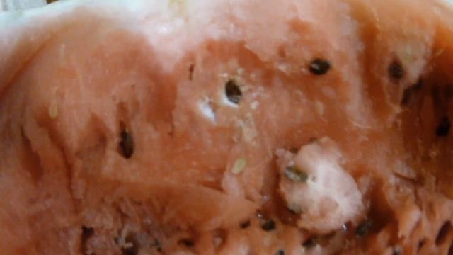 Можно ли есть арбузы в августе.О селитре в арбузах смотреть онлайн