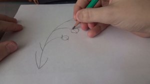 Как нарисовать цветок колокольчик.
