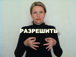ЖЕСТОВЫЙ ЯЗЫК. СЛОВАРЬ. Разрешить