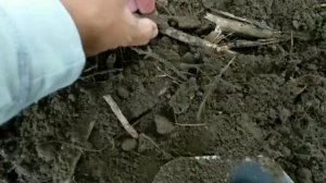 Металлоискатель MD4030P (QC-1016), разбираем и тестируем на посадке. Про Metal Detector MD 4030