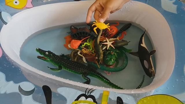 морские животные смотреть онлайн