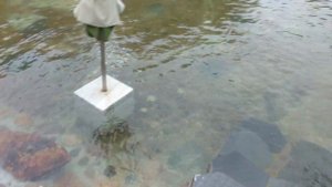 Горячий источник возле Дананга