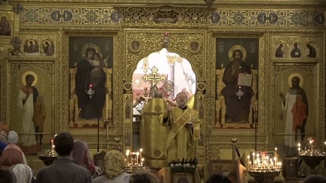 08.10.2023 Литургия. Преставление прп. Сергия, игумена Радонежского, чудотворца смотреть онлайн