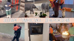 VLOG: МЫ ВОЗВРАЩАЕМСЯ! Гимнастика Дамира!  Зоопарк! День Рождение Родителей! / 21.03-07.04.2022