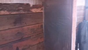 КАК  СДЕЛАТЬ ХОЛОДИЛЬНУЮ КАМЕРУ ДЛЯ РАССАДЫ ФРИГО, СВОИМИ РУКАМИ!