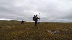 Кольский полуостров. Сосновка.