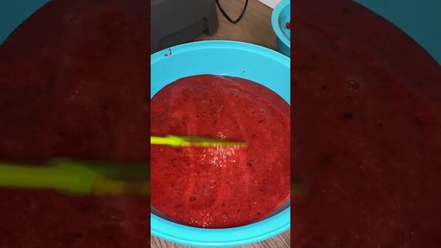 Готовим пастилу смотреть онлайн