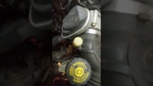 нет искры на рено клио (конец истории)