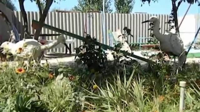 Изделия из монтажной пены.Цапля и журавель