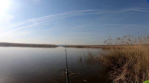 В Курганскую область за Карпом. Ловля карпа на боковой кивок. (оз. Рига)
