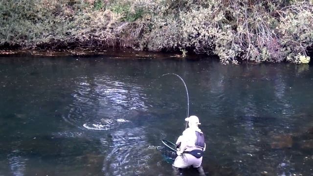 Fly Fishing Spain - Beast Trophy Trout in Picos de Europa rivers смотреть онлайн