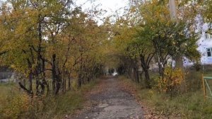 Усолье-Сибирское 7/ место в котором я выросла