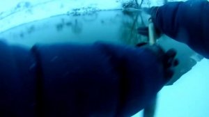 Ловля щуки зимой на силикон.