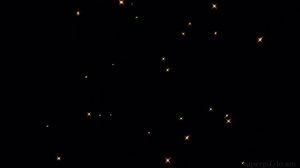 Firefly footage - Футаж Светлячки