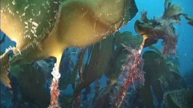 Баренцево море 2002 смотреть онлайн