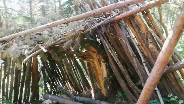 По Гремячьей гриве прошли 19 километров смотреть онлайн