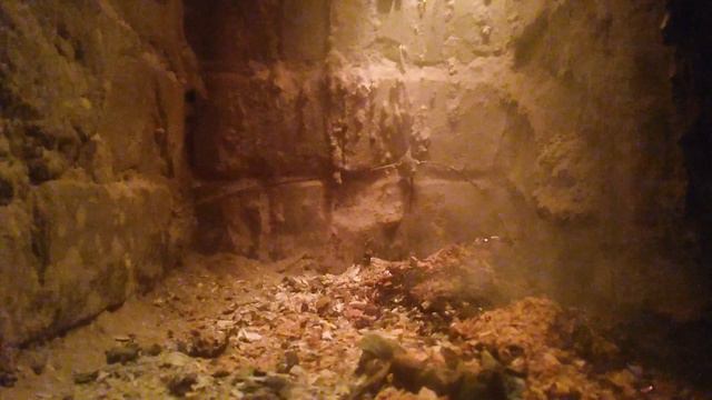 VID_20240917_130143.mp4