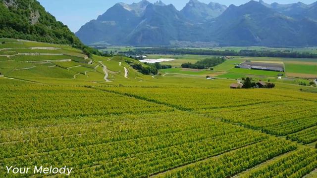 Красивая музыка🌿Сборник лучших мелодий,от которых мурашки по телу🌿#13 смотреть онлайн