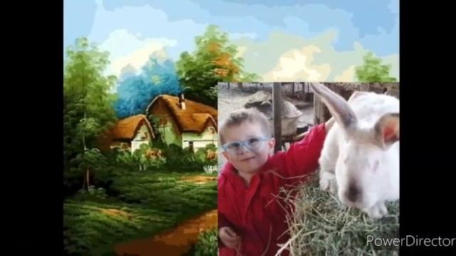 "Домашние животные Средняя группа"! Детский Сад 5 " Одуванчик"! смотреть онлайн