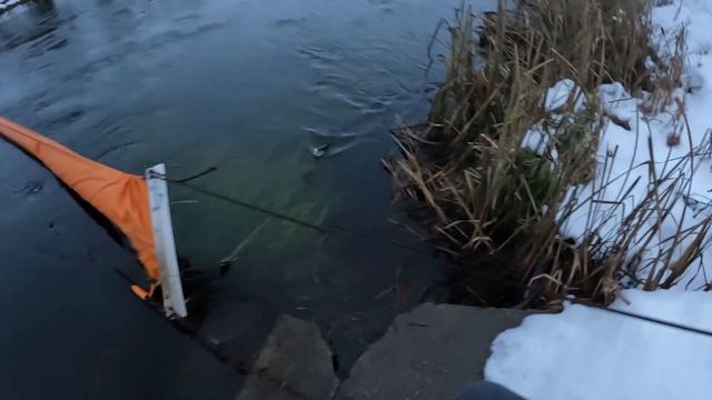 ФОРЕЛЬ ЗА 0 РУБЛЕЙ! НАШЕЛ ВОДОЕМ СО СБЕЖАВШЕЙ ФОРЕЛЬЮ. ЛОВИЛ ПОКА НЕ СТЕМНЕЛО