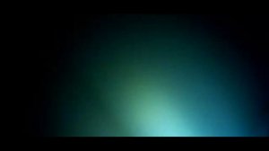 подводная охота.Белый амур ночью.