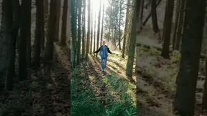 я так люблю ее что нету сил           в использовании Сергея Завьялова