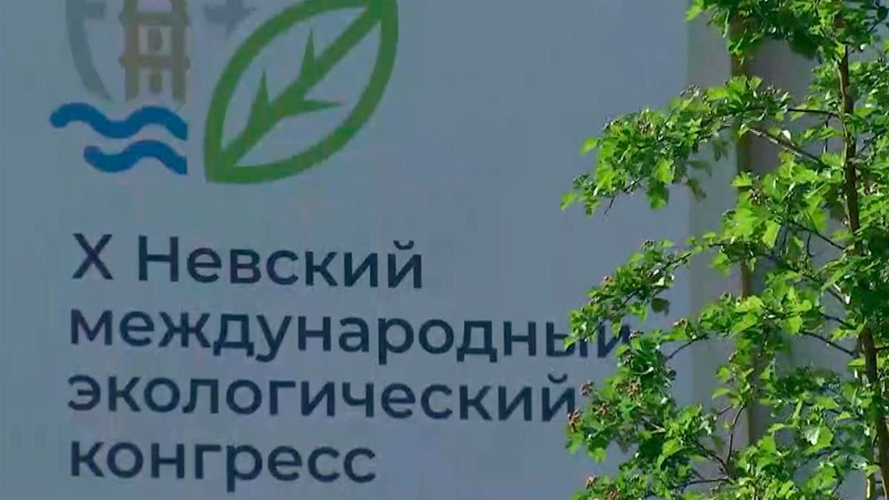 В Санкт-Петербурге проходит X Невский международный экологический конгресс