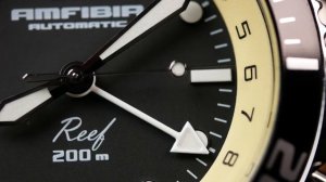 Dual Bezel Vostok? Amfibia Reef GMT Review ( 2426/080481 )