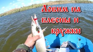 ловим на блесны и кружки.mp4