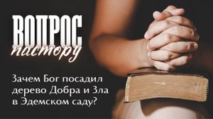 Вопрос пастору "Зачем Бог посадил дерево Добра и Зла в Эдемском саду?"