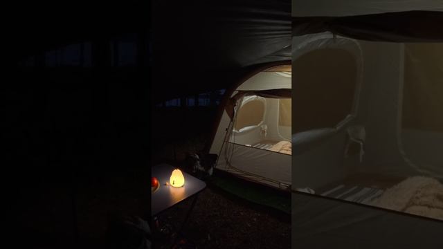 Наедине с природой