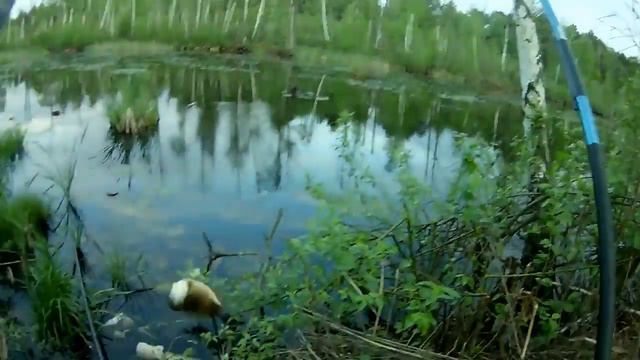 РЫБАЛКА НА ПОПЛАВОК Карась на каждом забросе клюет и ловиться смотреть онлайн