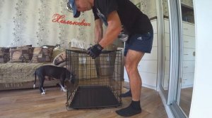 Клетки для собак с пластиковым поддоном