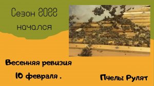 Пчелы Рулят 2022 балкон ревизия 10 февраля.