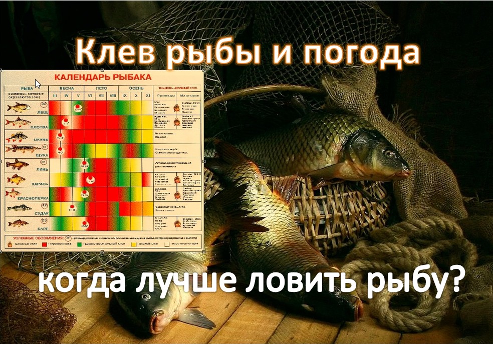 Календарь клева рыбы. Клев рыбы. Лунный календарь для рыбалки 2022. Рыболовный лунный календарь. Лунный календарь рыбака на 2021 год.