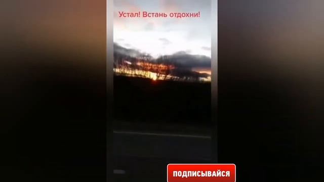 С днём автомобилиста смотреть онлайн