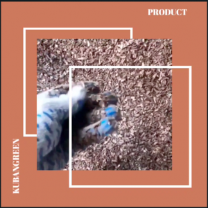 легенды китая шик гипот.mp4