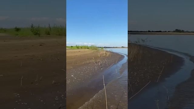 Русская Рыбалка!!!Рыбалка в Астрахани!!!Нижняя Волга!!!Где то в Никольском затоне!!!Судак!!!