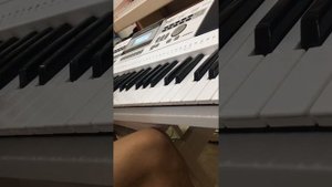 Medeli A100s- Model Talking