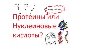 Эксперимент Эйвери. ДНК. Молекулярные основы генетики. (перевод с немецкого))