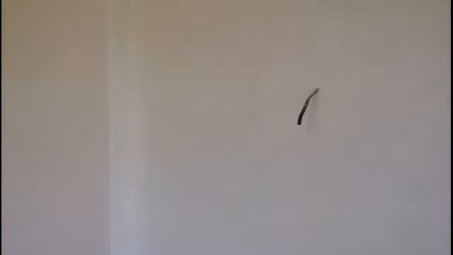 Обзор электроинструмента. Шлифмашина Bosch GSS 23 A. Шлифовка шпаклевки. смотреть онлайн